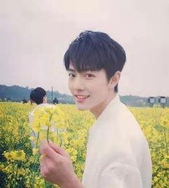 最新大爆料杨紫肖战,甜蜜互动引网友热议